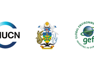 Chief Technical Advisor Post