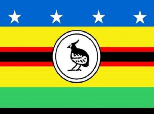 Choiseul Province Vacancy Notice Burser/Secretary Issue: (SWN 15016)