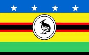 Choiseul Province Vacancy Notice Principal Work Officer Issue: (SWN 15016)