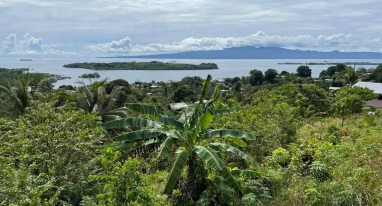 Ocean View Lodge Gizo, Navigating the ‘COVID Adversities’