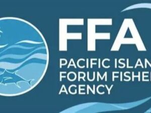 FFA: SIN: 2017: Issue: 16349: Consultant Opportunity, Finance Officer