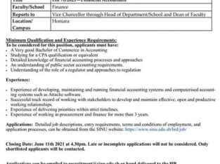 SINU:HR 70/2021 – Financial Accountant