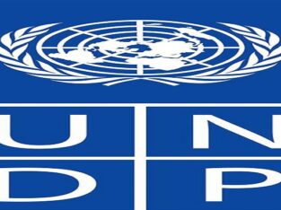 UNDP: Consultant For IDRM Project