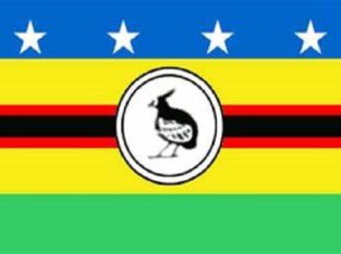 Choiseul Province : Development Planner Officer