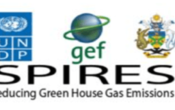 Ministry of Mines: Public Tender Notice