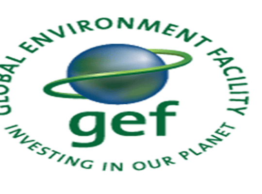 MECDM (EREPA): Provincial Project Coordinator
