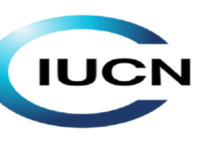 MECDM (EREPA): Provincial Project Coordinator