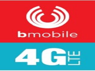 Bmobile: Finance Officer