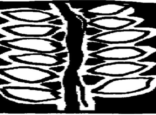 Family Support Center: Assistant Finance Officer &  Paralegal Officer Post