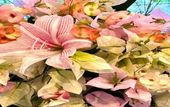 JR Floral & Gardening