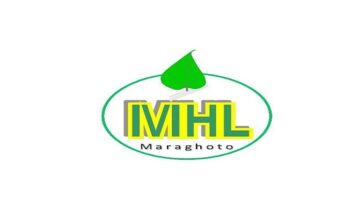 Maraghoto Holdings Company