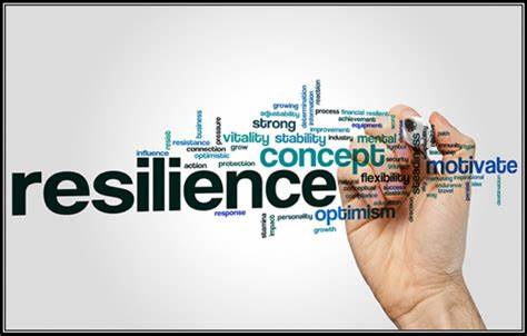 Integrated Economic Development and Community Resilience Project