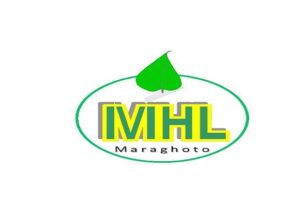 Maraghoto Holdings Company